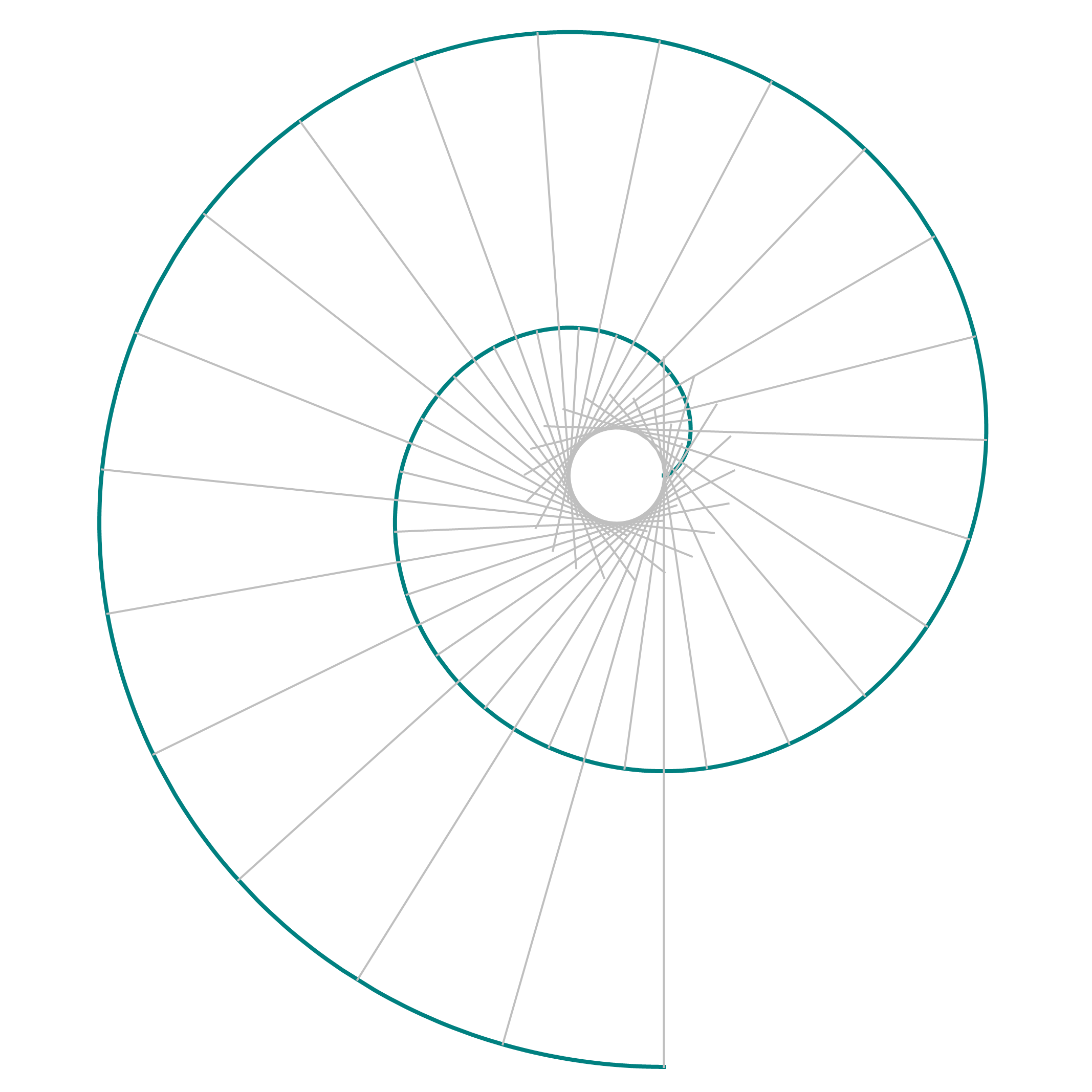 involute